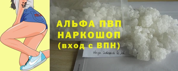 PSILOCYBIN Алагир