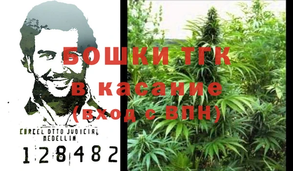 PSILOCYBIN Алагир