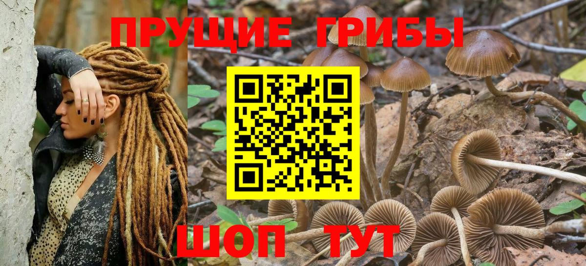 Псилоцибиновые грибы MAGIC MUSHROOMS  Вход с VPN  Кириши 