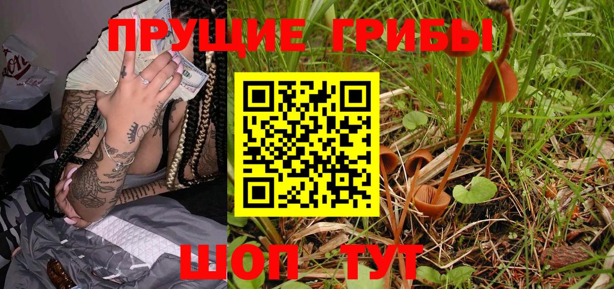 Псилоцибиновые грибы прущие грибы  сколько стоит  Галлюциногенные грибы GOLDEN TEACHER  Кириши 