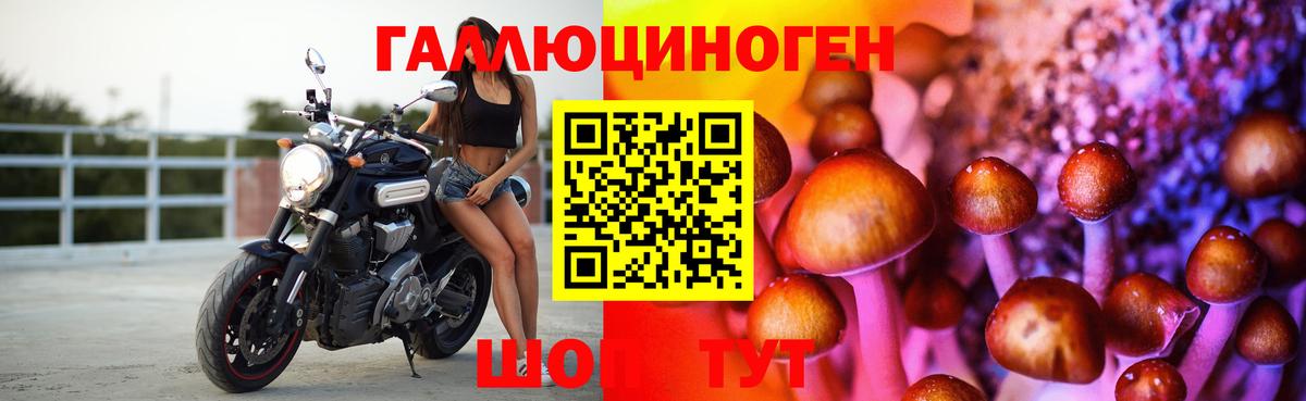 Галлюциногенные грибы прущие грибы Кириши