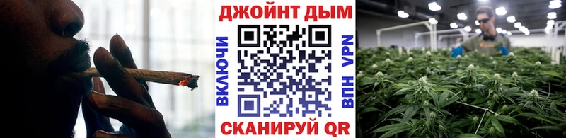 Марихуана сатива  Кириши 
